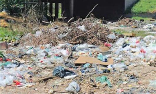 Vecinos del barrio Toba y el Industrial reclaman por higiene y salud